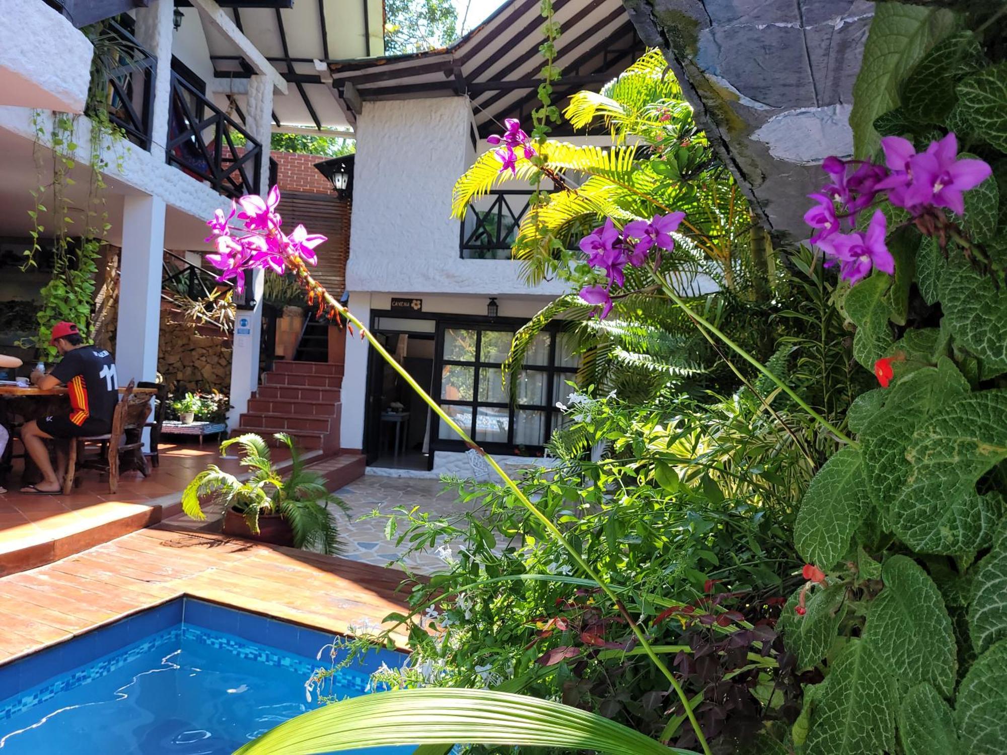 אל סאינו Hostal Antawara Tayrona מראה חיצוני תמונה