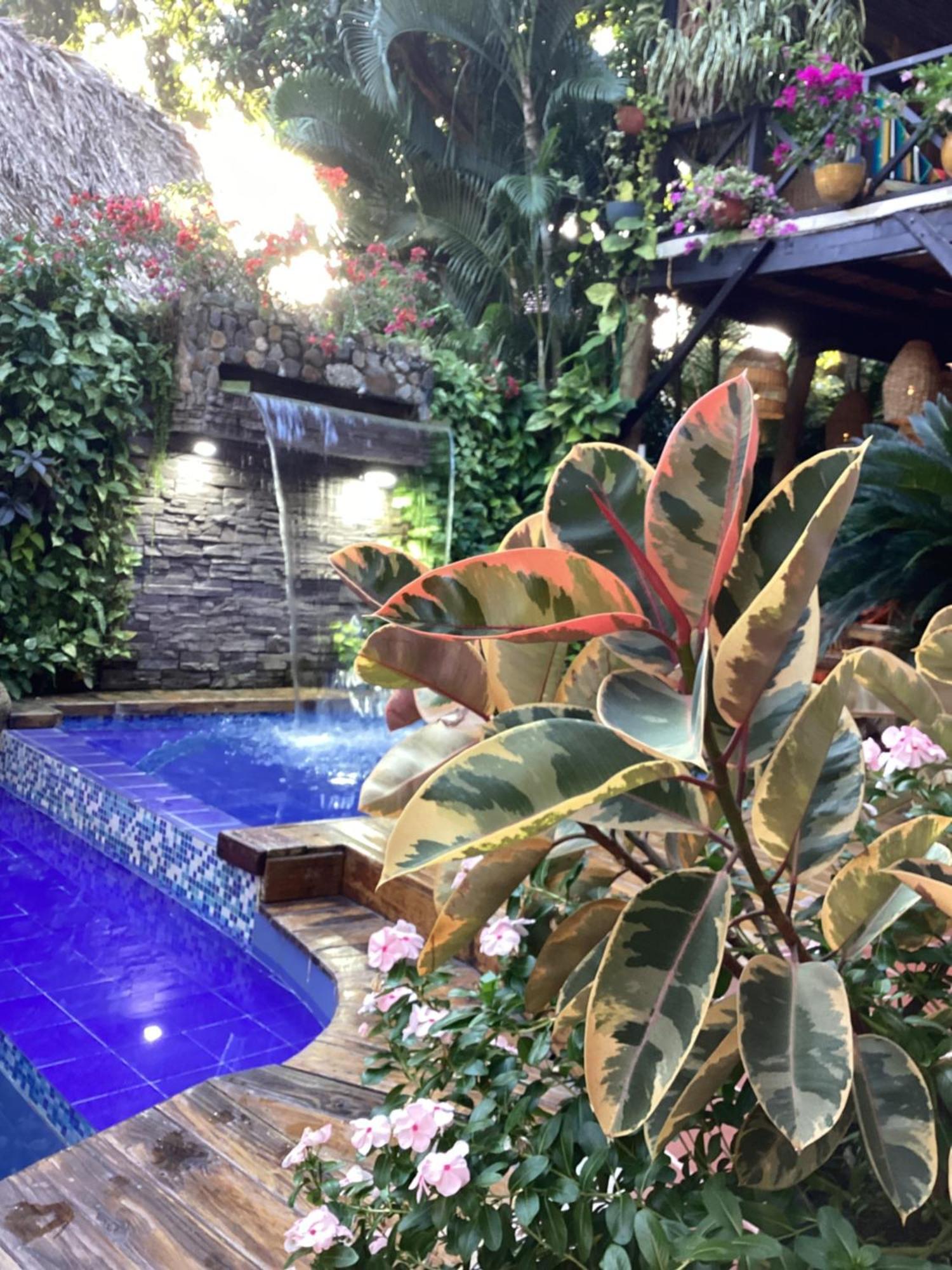 אל סאינו Hostal Antawara Tayrona מראה חיצוני תמונה